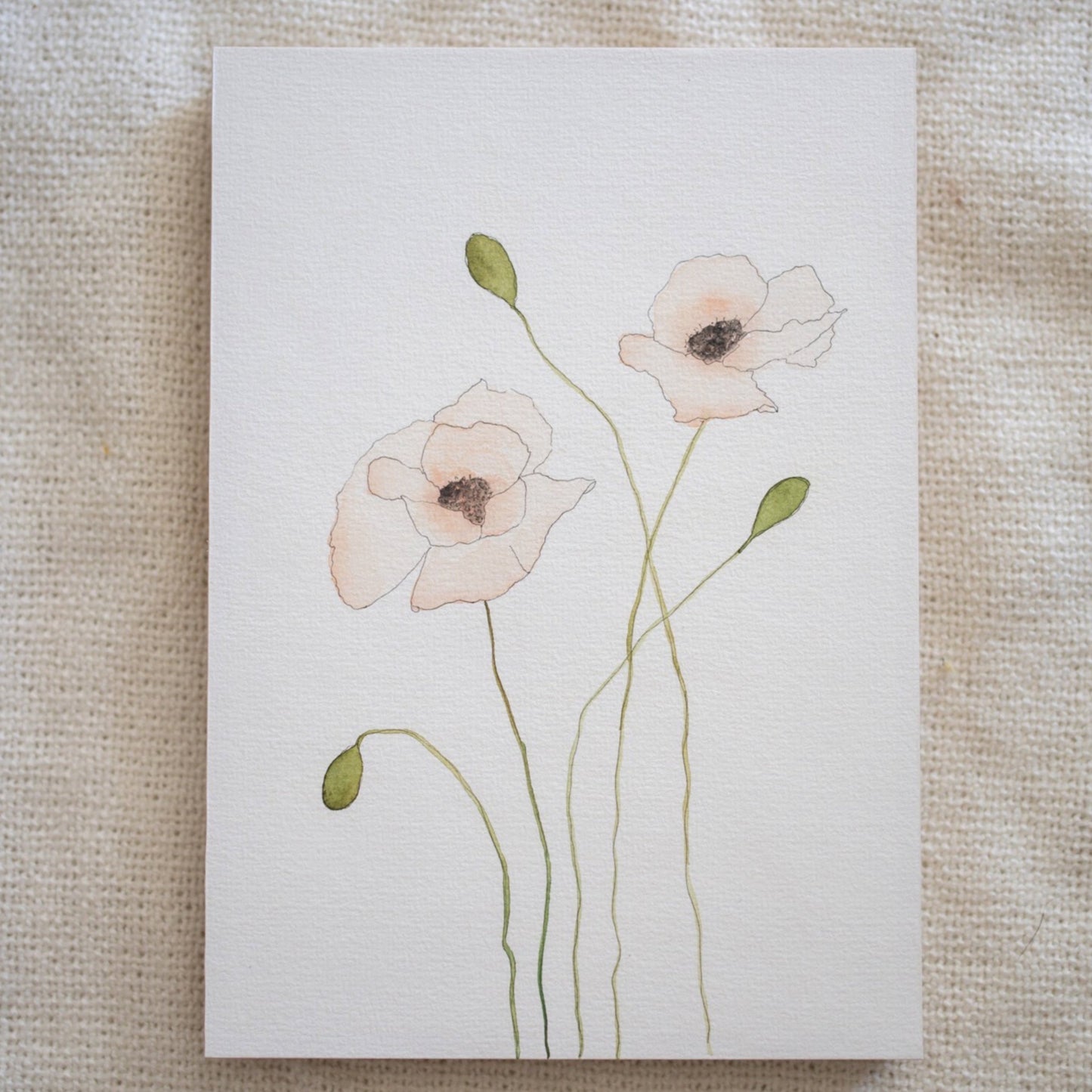 poppies